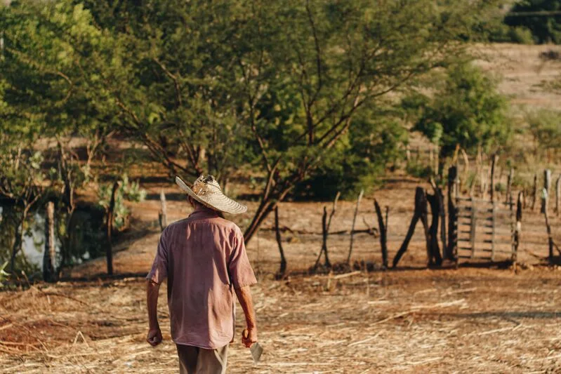 Renegociação de Dívida Rural: o que fazer quando o banco se recusa a renegociar